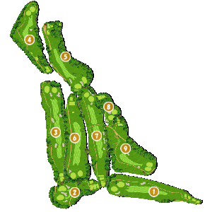 コース全体俯瞰図