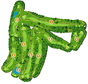 コース全体俯瞰図