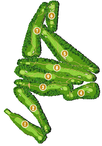 コース全体俯瞰図