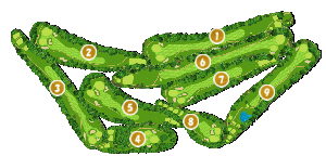 コース全体俯瞰図