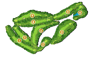 コース全体俯瞰図