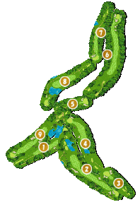 コース全体俯瞰図