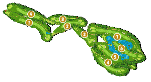 コース全体俯瞰図