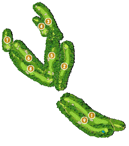 コース全体俯瞰図