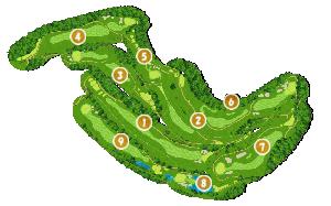 コース全体俯瞰図