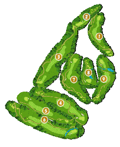 コース全体俯瞰図