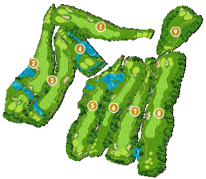 コース全体俯瞰図