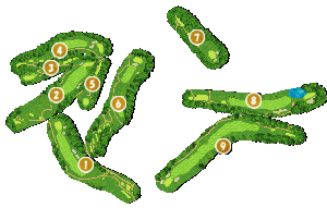 コース全体俯瞰図