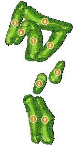 コース全体俯瞰図