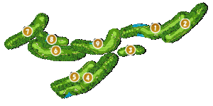 コース全体俯瞰図