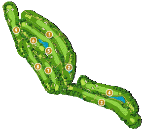 コース全体俯瞰図