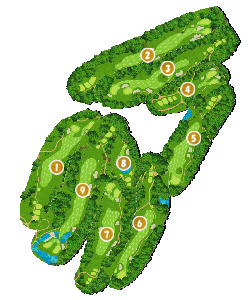 コース全体俯瞰図