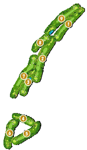 コース全体俯瞰図