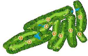 コース全体俯瞰図