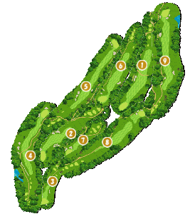 コース全体俯瞰図