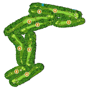 コース全体俯瞰図