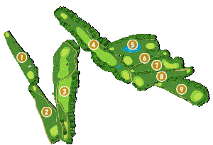 コース全体俯瞰図