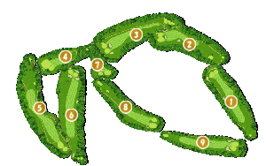 コース全体俯瞰図