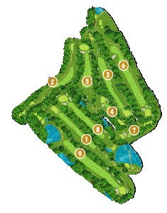 コース全体俯瞰図