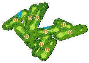 コース全体俯瞰図