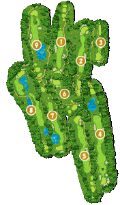 コース全体俯瞰図