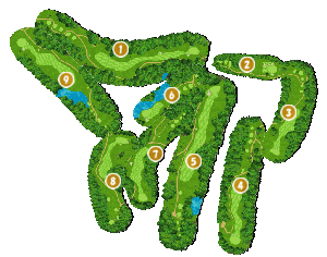 コース全体俯瞰図