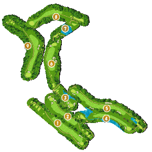 コース全体俯瞰図