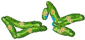 コース全体俯瞰図