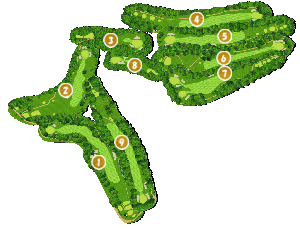 コース全体俯瞰図