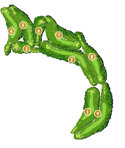 コース全体俯瞰図