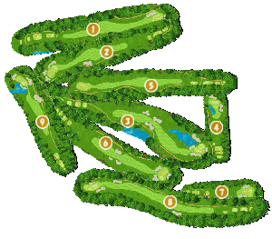 コース全体俯瞰図