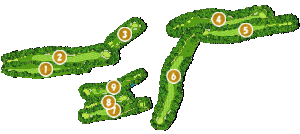 コース全体俯瞰図