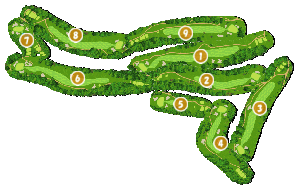 コース全体俯瞰図