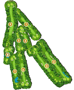 コース全体俯瞰図