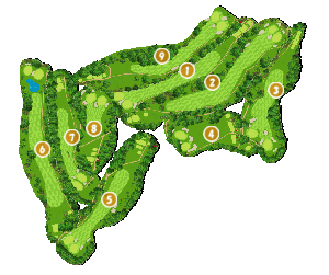 コース全体俯瞰図