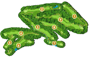 コース全体俯瞰図