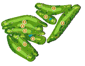 コース全体俯瞰図