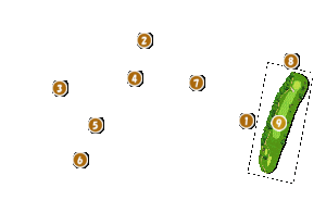 コース全体俯瞰図