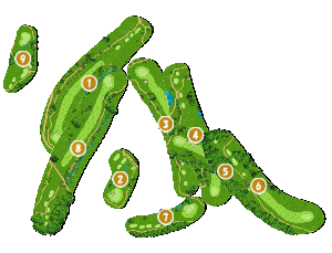 コース全体俯瞰図