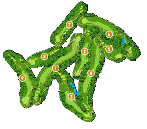 コース全体俯瞰図