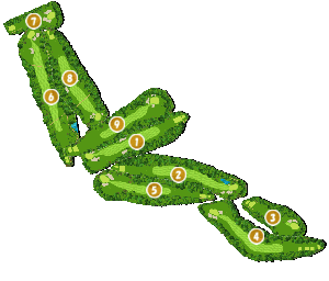 コース全体俯瞰図