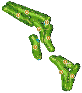 コース全体俯瞰図