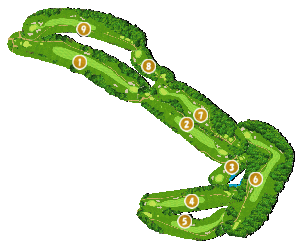 コース全体俯瞰図