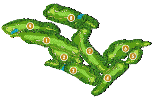 コース全体俯瞰図