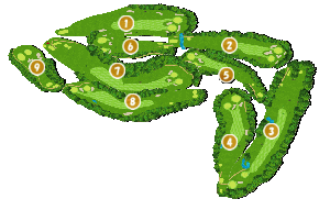 コース全体俯瞰図