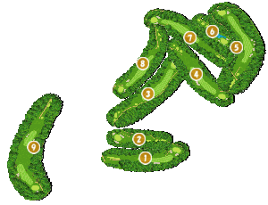 コース全体俯瞰図