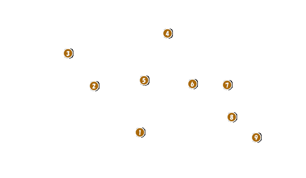 コース全体俯瞰図