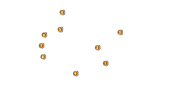 コース全体俯瞰図