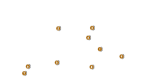 コース全体俯瞰図