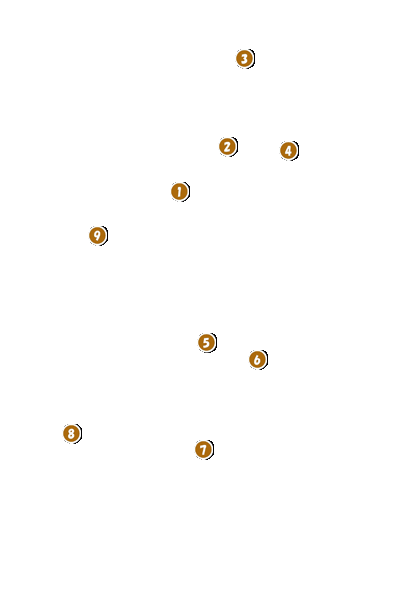 コース全体俯瞰図